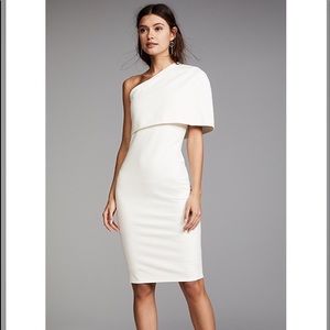 Michelle Mason “Asymmetrical Cocoon” sheath dress